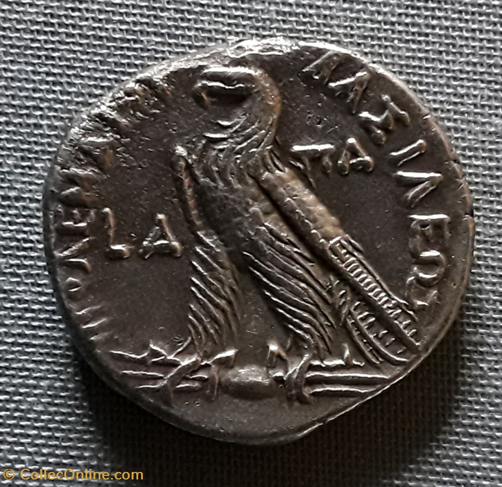 Egypte , royaume Lagide , ptolémée IX monnaies antiques grecques egypte royaume lagide ptolemee ix