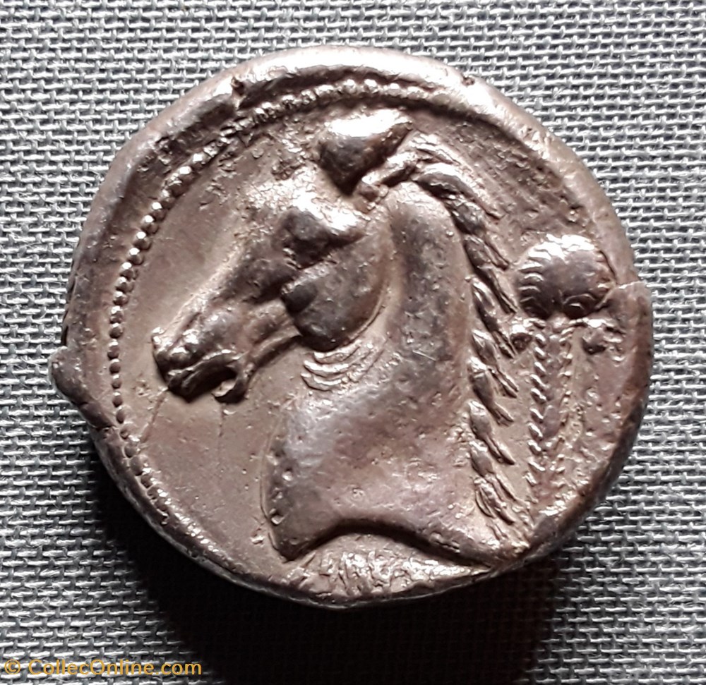 SICILE - SICULO-PUNIQUES (350-300 av.J.C.) monnaies antiques grecques sicile siculo puniques 350 300 av j c