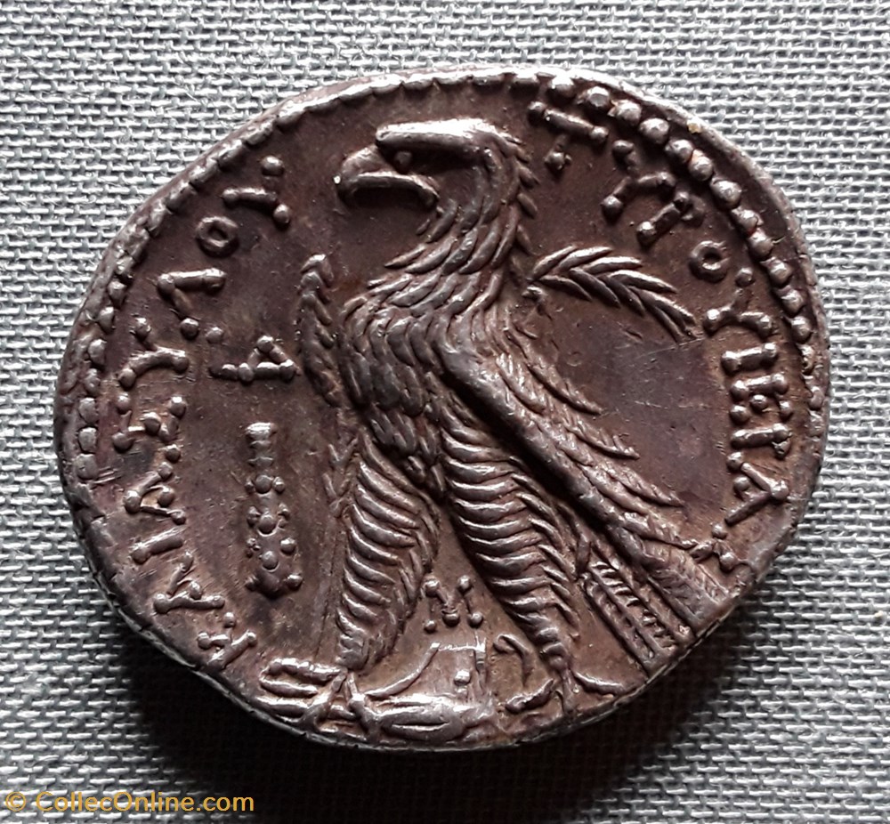 Phenicie Tyr monnaies antiques a grecques phenicie tyr