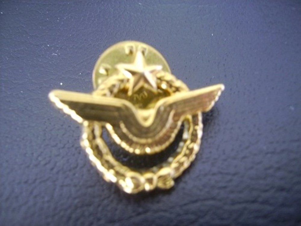 Pin's Aviation 6 militaria pin s aviation