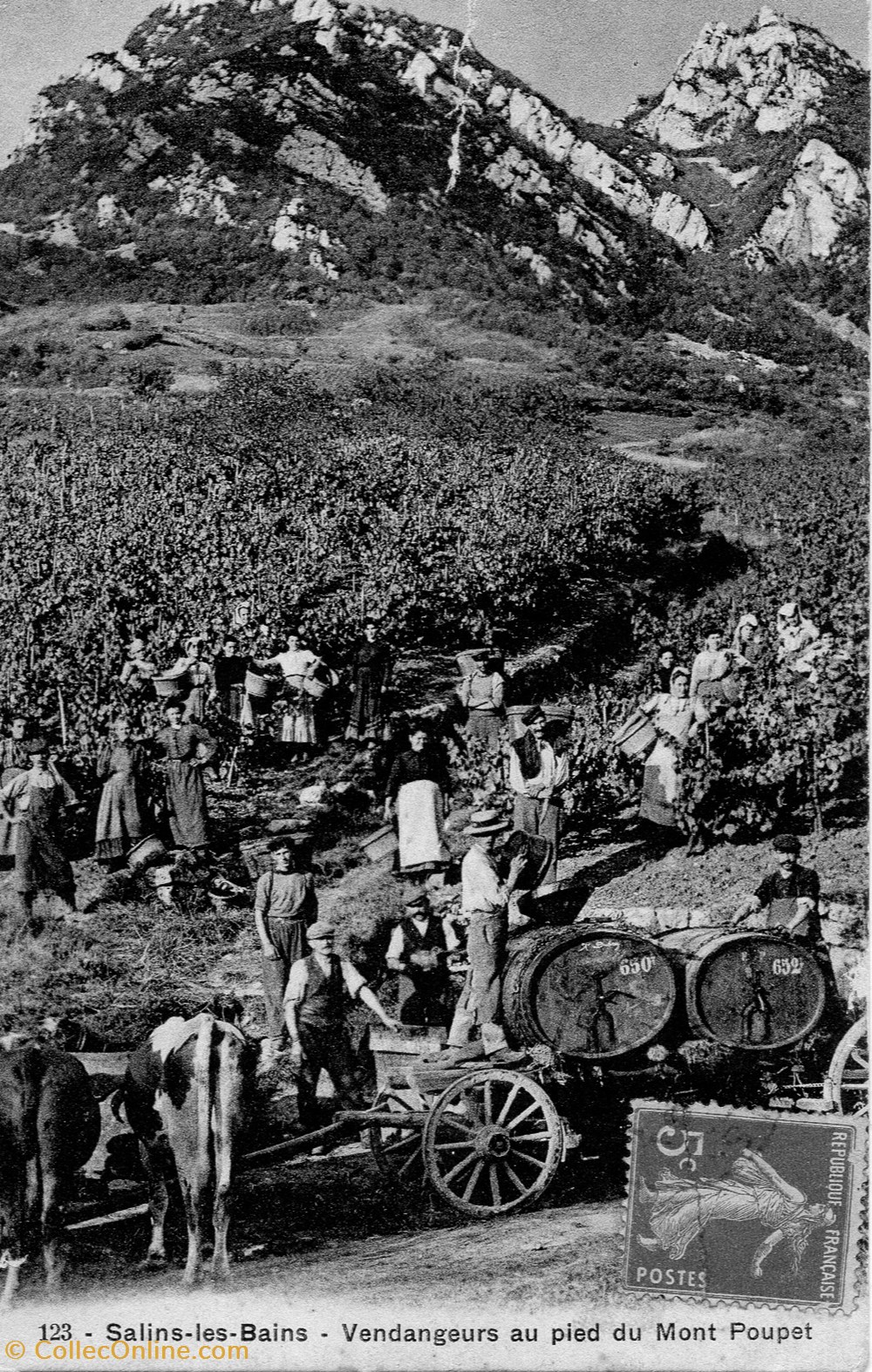 Salins les Bains (Les vendanges au pied du Mt Poupet) cartes postales europe france salins les bains les vendanges au pied du mt poupet