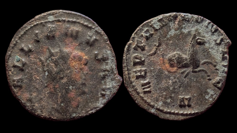 Gallienus Hippocamp coins ancient to romans imperial and republican gallienus hippocamp