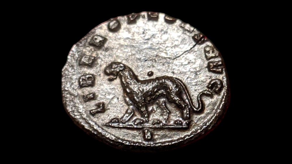 Gallienus Panther / Tigress coins ancient to romans imperial and republican gallienus panther tigress