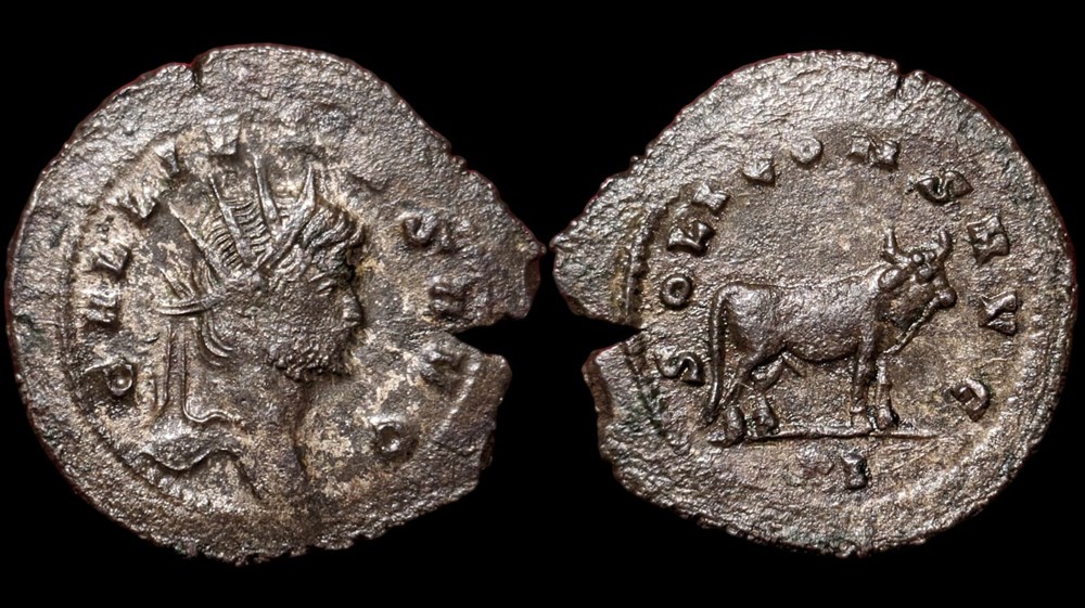 Gallienus Bull coins ancient to romans imperial and republican gallienus bull