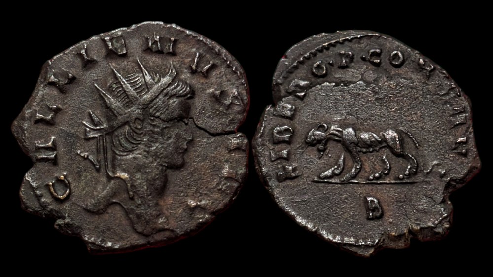 Gallienus Panther / Tigress coins ancient to romans imperial and republican gallienus panther tigress