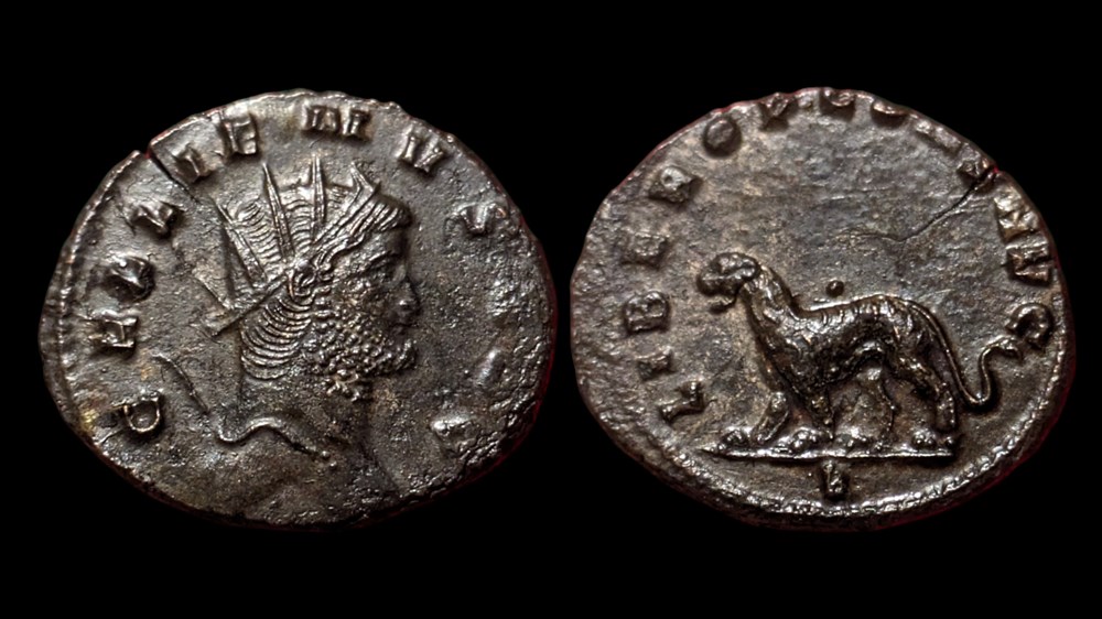 Gallienus Panther / Tigress coins ancient to romans imperial and republican gallienus panther tigress