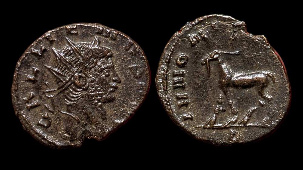 Gallienus IVNONI CONS AVG coins ancient to romans imperial and republican gallienus ivnoni cons avg