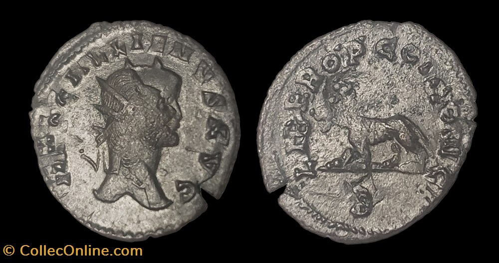 coins ancient to romans imperial and republican gallienus tigress or panther doublestruck