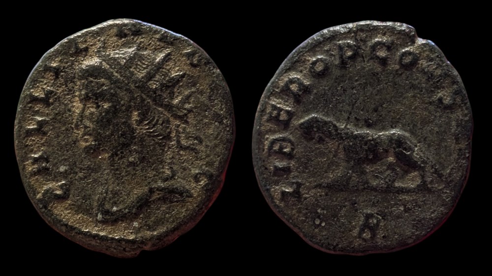 coins ancient to romans imperial and republican gallienus panther tigress