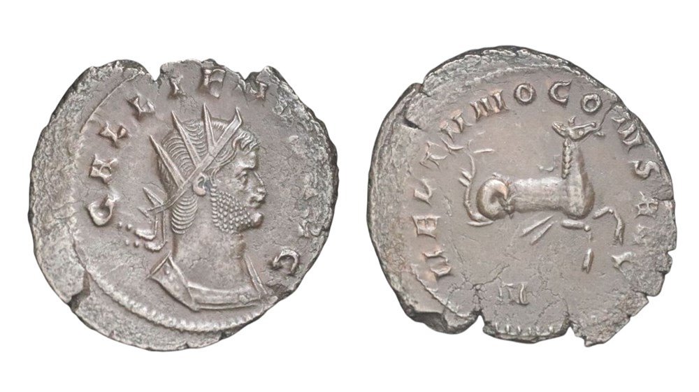 Gallienus Hippocamp coins ancient to romans imperial and republican gallienus hippocamp
