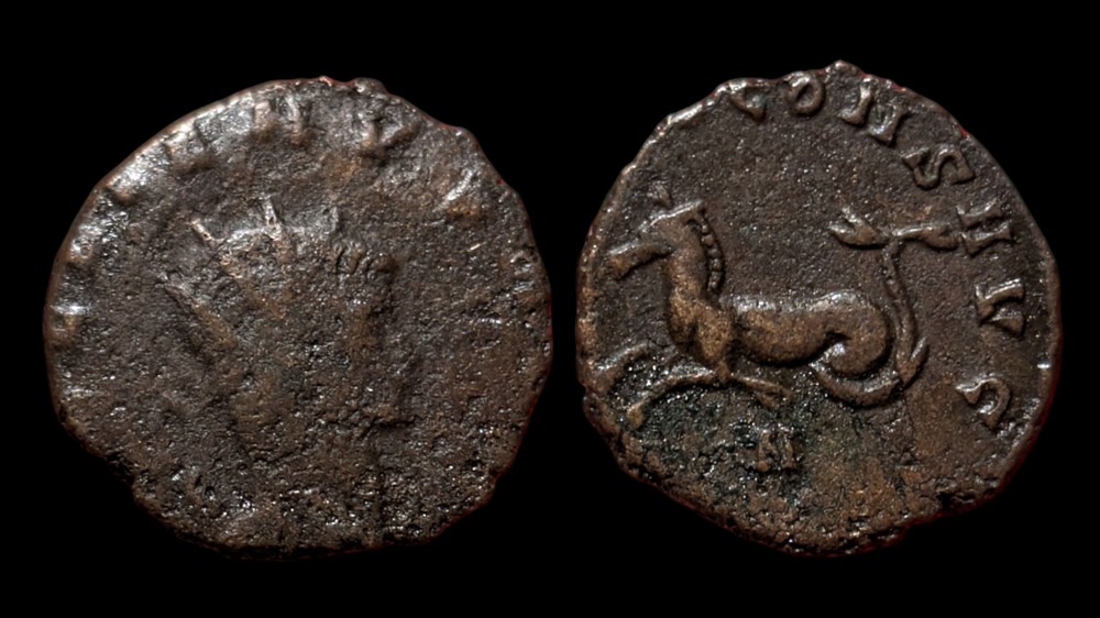 Gallienus Hippocamp - left facing coins ancient to romans imperial and republican gallienus hippocamp left facing