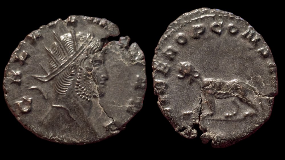 Gallienus panther / tigress coins ancient to romans imperial and republican gallienus panther tigress