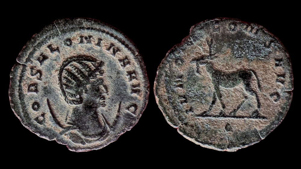 Salonina Capreolus coins ancient to romans imperial and republican salonina capreolus