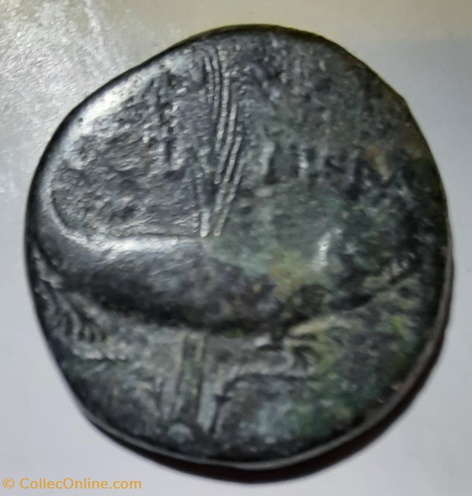 monnaie antique av jc ap nimes as a tetes adosees agrippa et auguste r crocodile 14 10 d26 6 p12 22g lt2837 ric160