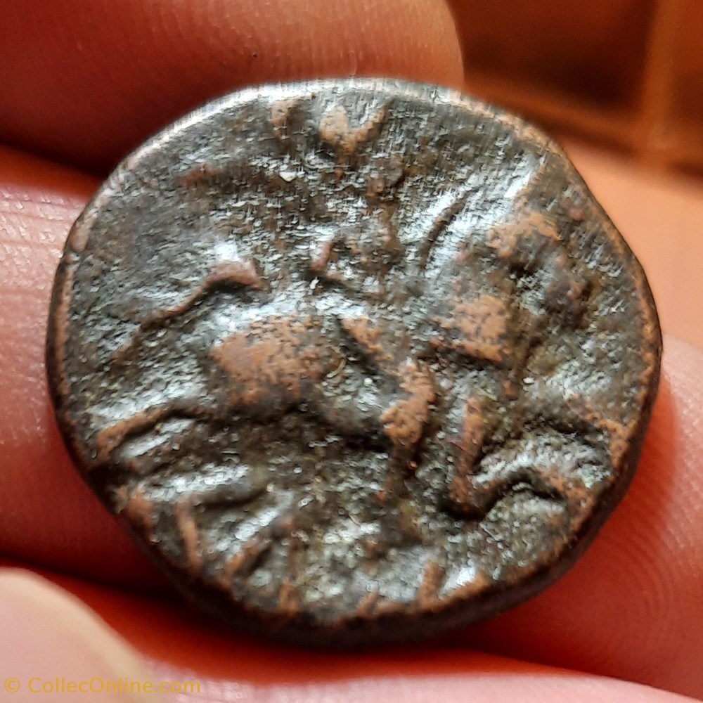 Iberique Kelse A/Tete a d R/ Cavalier a d avec palme -200-100 D26.7 P11.12g Feugere KEL-223 monnaies antiquite jc ap gauloises iberique kelse a tete a d r cavalier a d avec palme 200 100 d26 7 p11 12g feugere kel 223