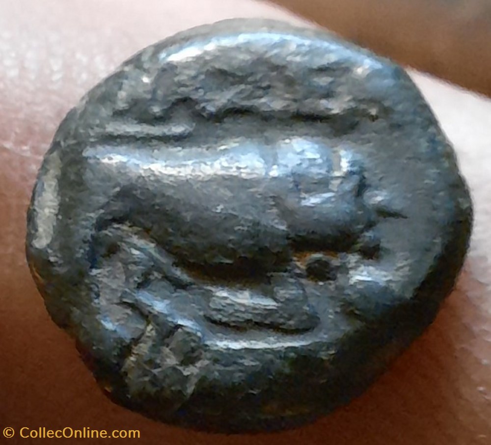 monnaies antiques celtes marseille pb au taureau