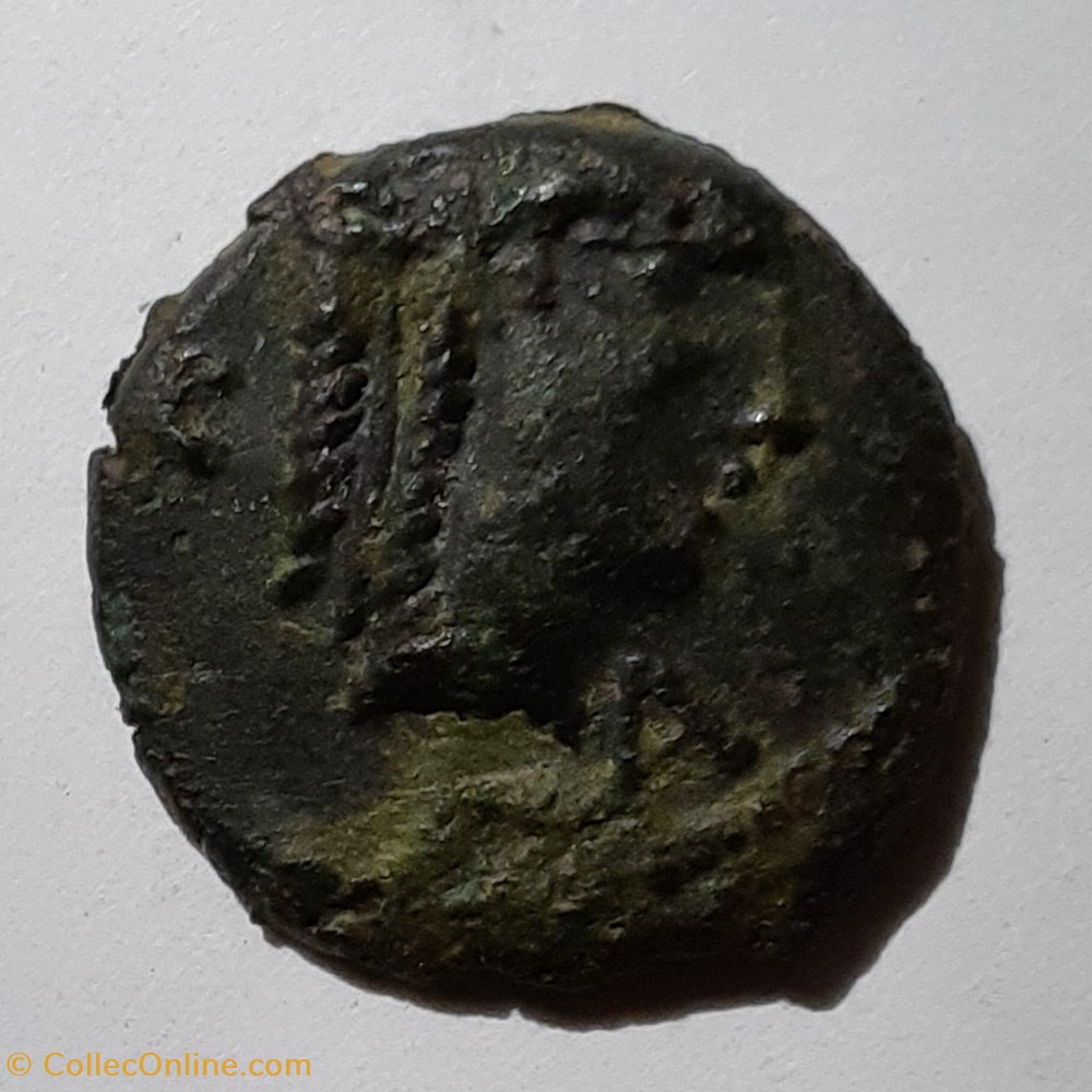 Cavares A/Tete Apollon a d R /Taureau a d -75-50 D 14.4 P1.63g Feugere AVI 2519 monnaie antique jc gauloise cavares a tete apollon a d r taureau a d 75 50 d 14 4 p1 63g feugere avi 2519