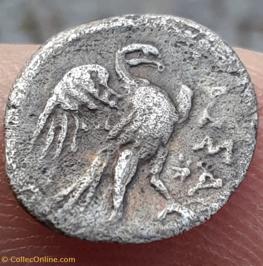monnaies antiques celtes marseille diobole a l aigle a tete athena a d a r aigle 150 125 d12 6 p0 72g feugere dom 56