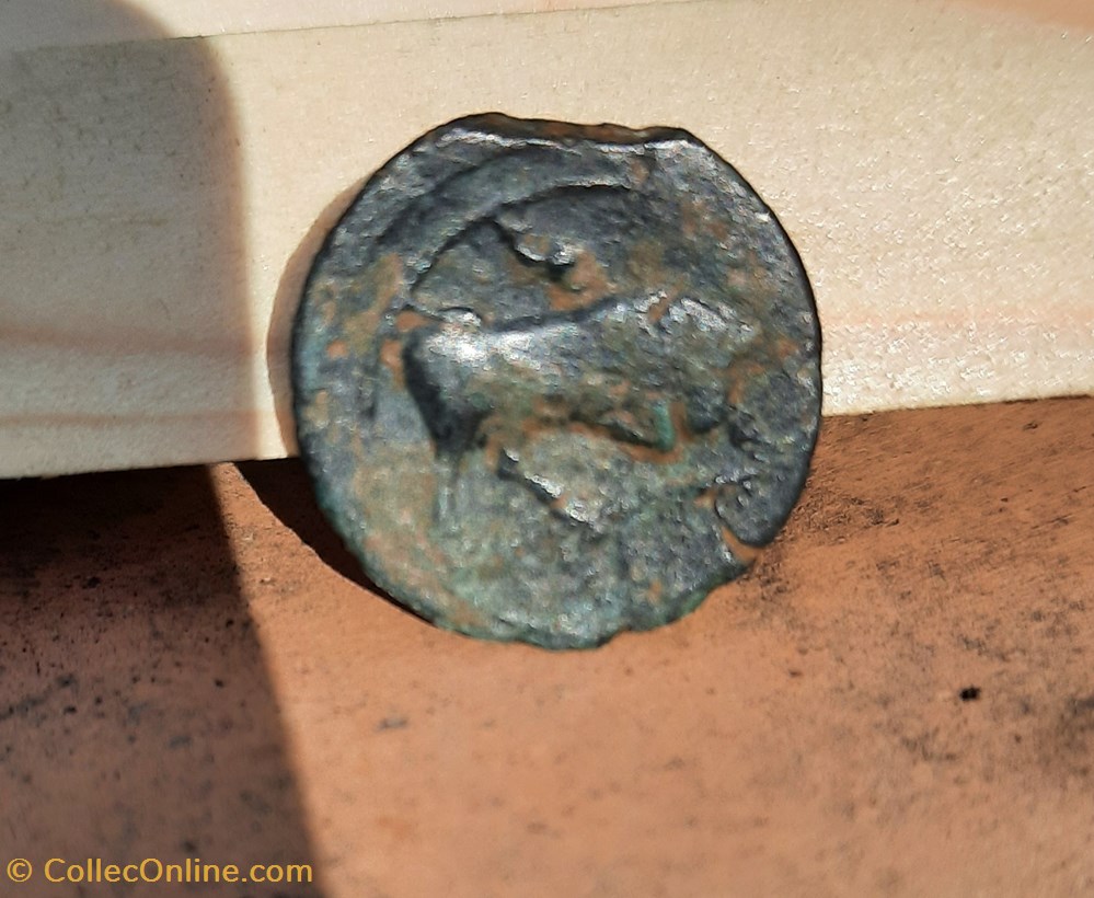 Marseille Grand Bronze A/ Tete Apollon a g,lance. R/Taureau a d,dauphin.D21.1 P7.48G Feug GBM22/6 monnaie antique av jc gauloise marseille grand bronze a tete apollon a g lance r taureau a d dauphin d21 1 p7 48g feug gbm22 6