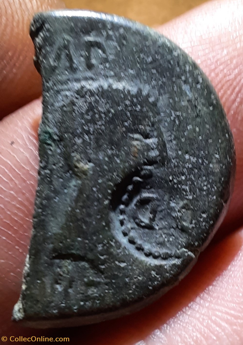 Nimes demi dupondius A/Tete Octave R/Crocodile -16-15 D24 P6.60 G monnaies antiquite jc ap romaines provinciales nimes demi dupondius a tete octave r crocodile 16 15 d24 p6 60 g