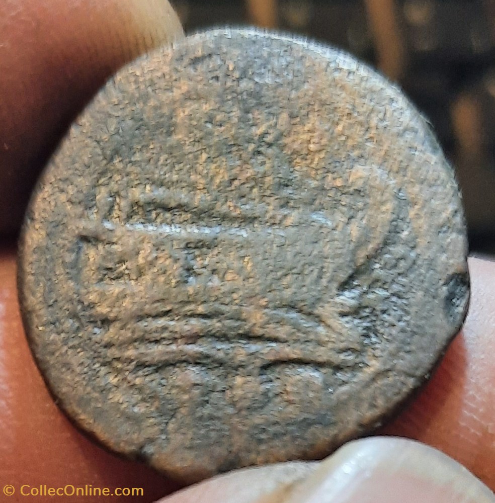 monnaies antiquite jc ap romaines republicaines imperiales republique romaine a tete hercule avec leonte r proue de navire d24 3 p10 27g rcv1037 rrc 56 5