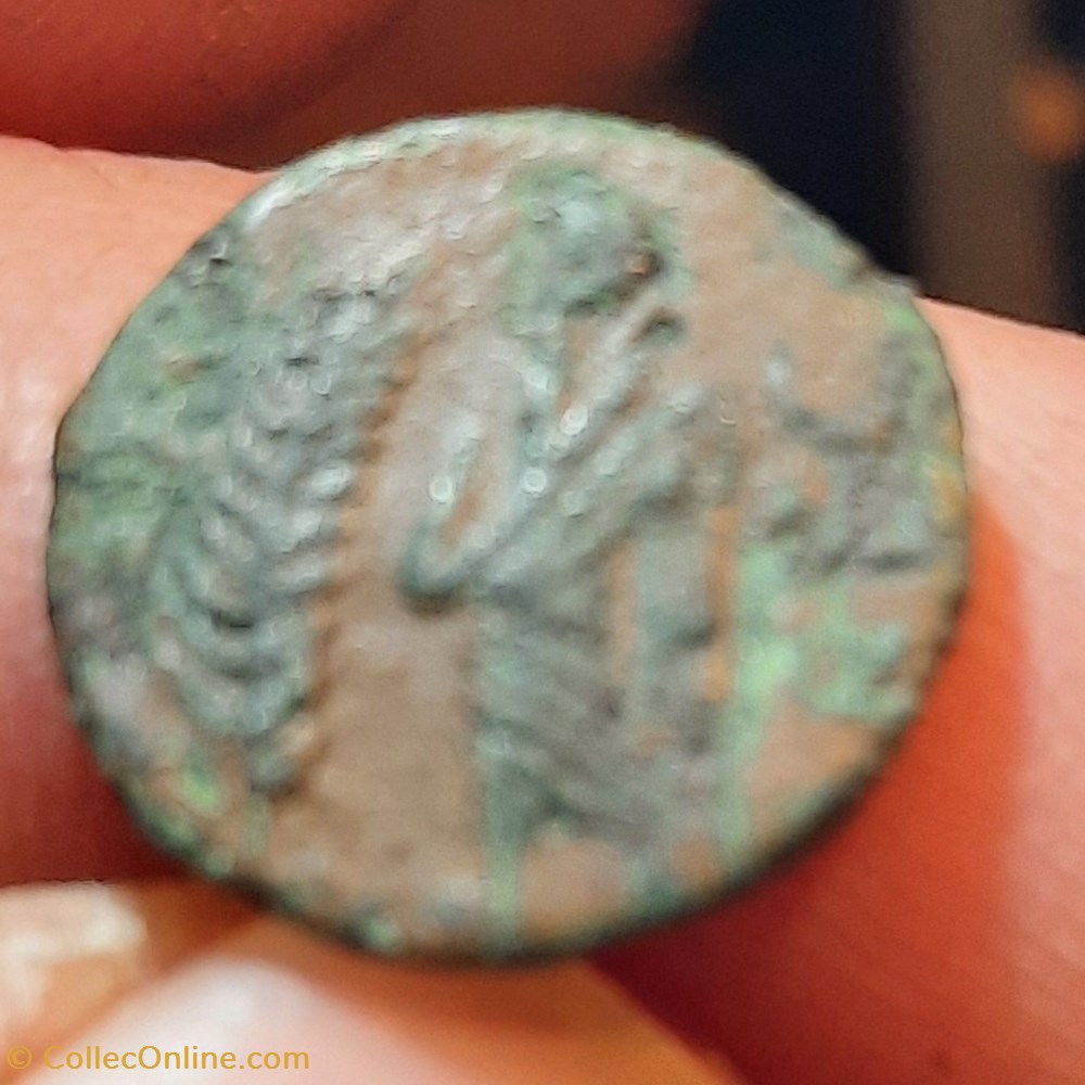 Nimes PB A/ Tete F diademee R / Personnage a g ,palme -60-40 D14.2 P2.18g Feugere VLC 2677 monnaies antiquite av jc ap gauloises nimes pb a tete f diademee r personnage a g palme 60 40 d14 2 p2 18g feugere vlc 2677