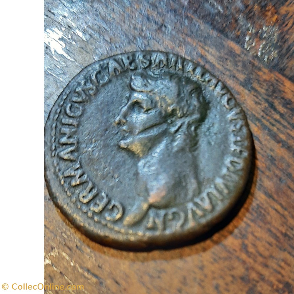 Germanicvs A /Tete nue a d R / S C au centre +37+38 D 27.7 P 10.73g C1 RIC35 RCV 1821 monnaie antique av jc ap romaine republicaine imperiale germanicvs a tete nue a d r s c au centre 37 38 d 27 7 p 10 73g c1 ric35 rcv 1821