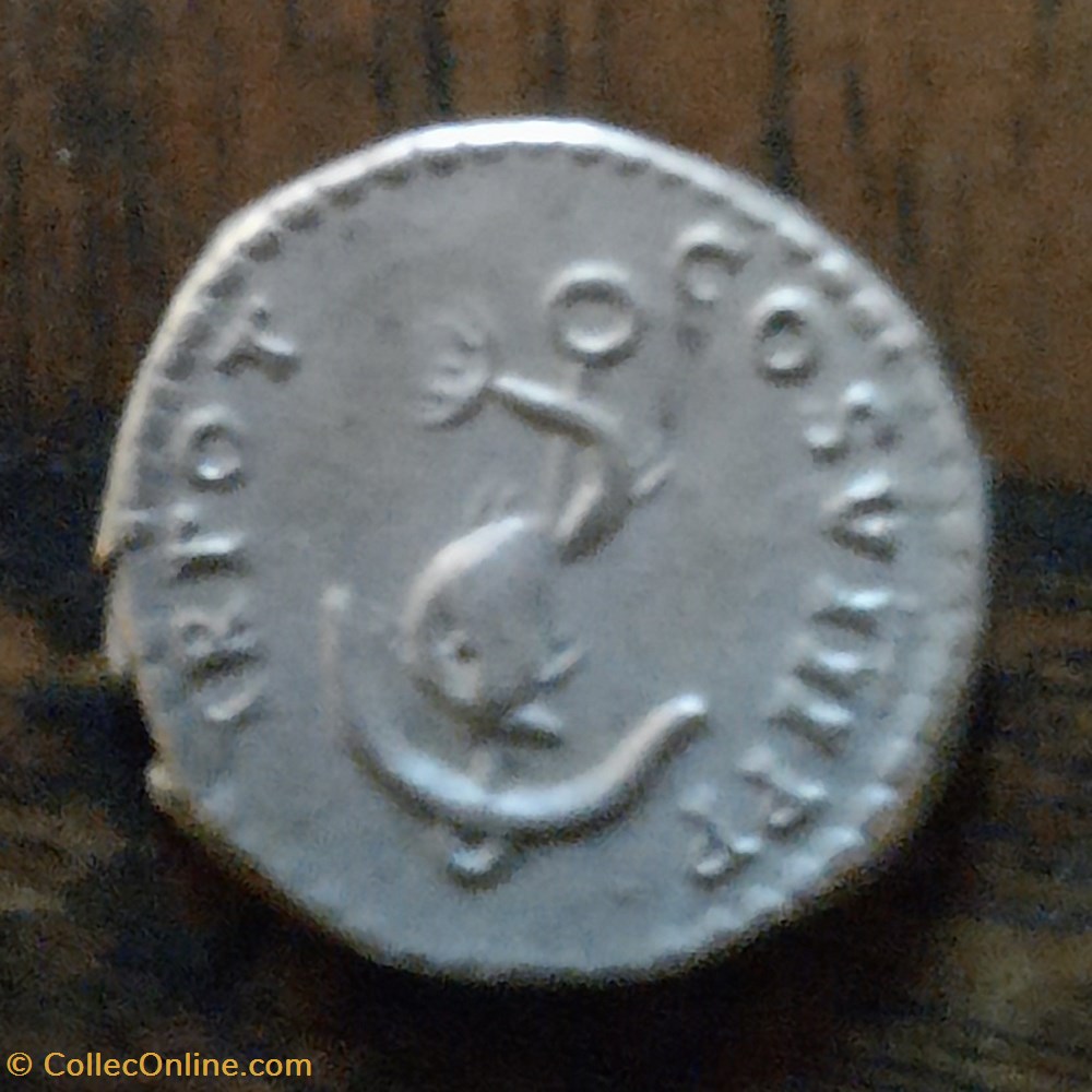 Domitien ATete lauree a d R/Dauphin autour d une ancre D18 P3.55 g RCV 2750 C 593 RIC 28 monnaie antique av jc ap romaine republicaine imperiale domitien atete lauree a d r dauphin autour d une ancre d18 p3 55 g rcv 2750 c 593 ric 28