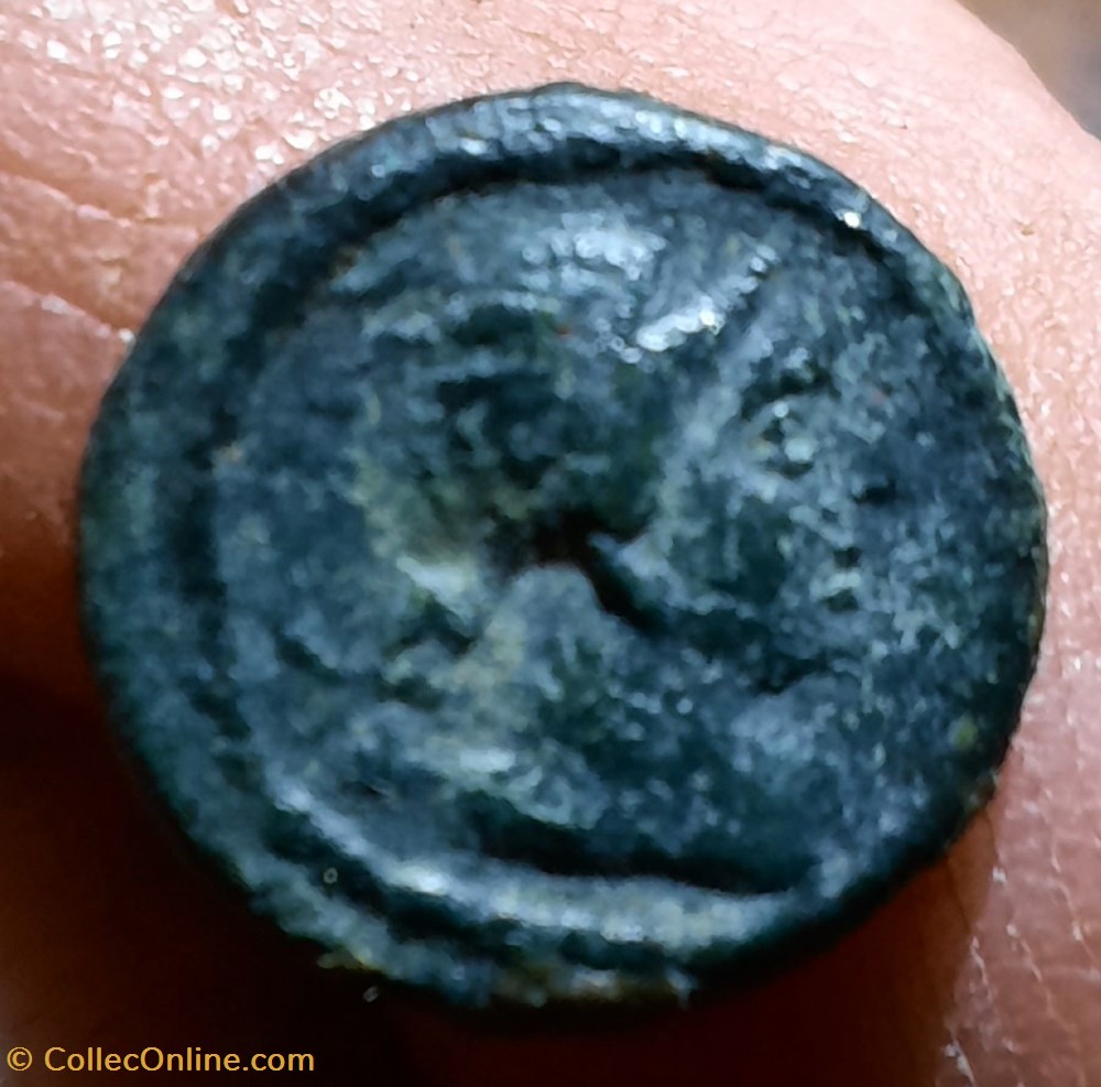 Grecques Seleucide Nicator 1° A / Tete Apollon a d R/ Lyre D11.4 P1.41 g monnaies antiques grecques seleucide nicator 1 a tete apollon a d r lyre d11 4 p1 41 g