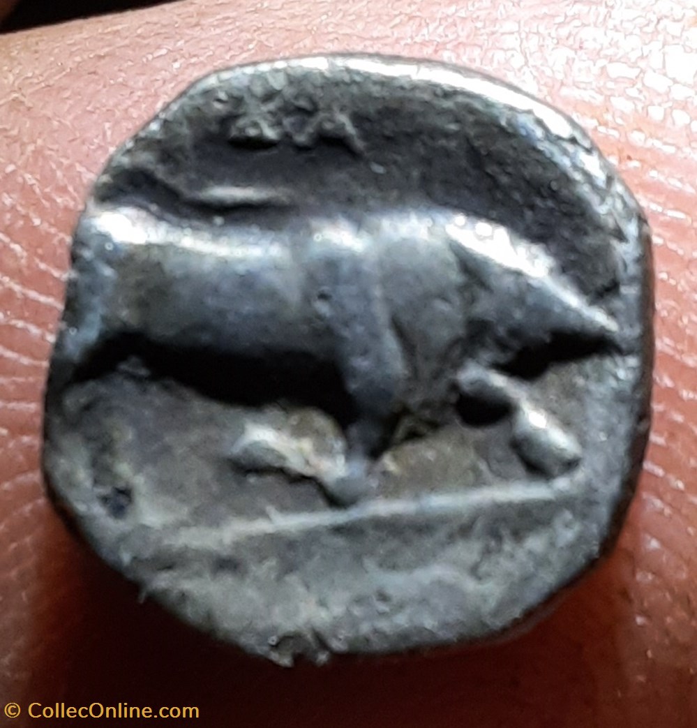 Lucanie Thurium A/Tete Athena a d R/Taureau a d, poisson exergue -300-400 d10.6 p1.08g ANS1139 monnaies antiquite av jc ap grecques lucanie thurium a tete athena a d r taureau a d poisson exergue 300 400 d10 6 p1 08g ans1139