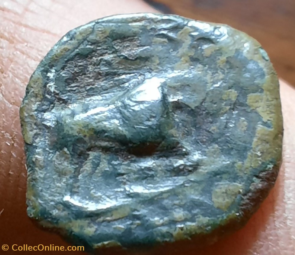 monnaies antiques celtes marseille petit bronze