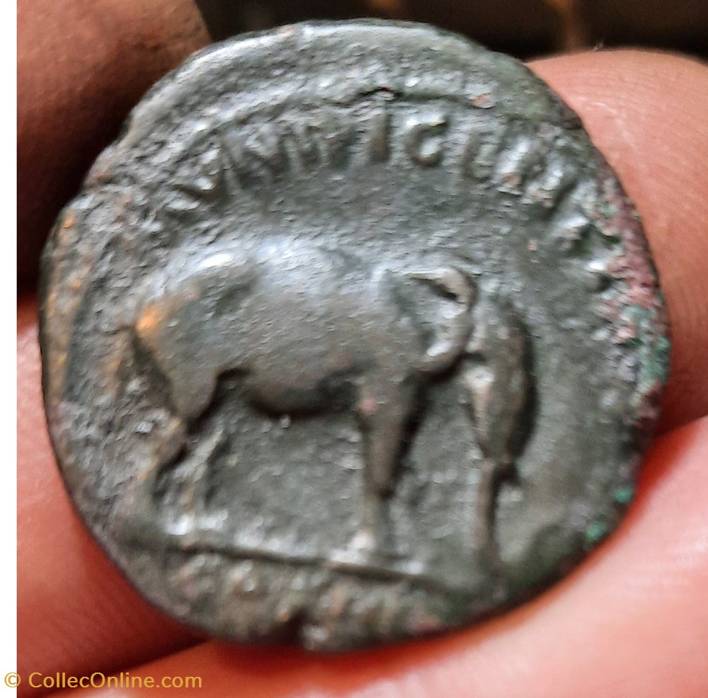 monnaies antiquite av jc ap romaines republicaines imperiales antonin le pieux a tete lauree a d r elephant a d 148 149 d25 9 p9 08g c565 ric 862a rcv 4308