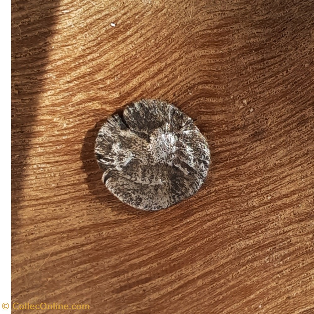 Marseille ?1/4 Obole A/Hyppalectryon ou lion? R/Carre creux -500-475 D0.6 P0.23 monnaie antique av jc ap gauloise marseille 1 4 obole a hyppalectryon ou lion r carre creux 500 475 d0 6 p0 23