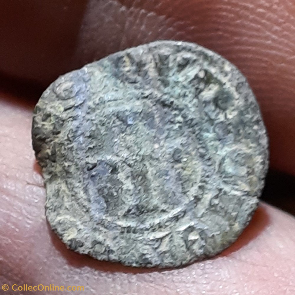 Robert d Anjou A/Tete a g R / Croix patee D14.4 P 0.53 g Bd835 monnaies france feodales robert d anjou a tete a g r croix patee d14 4 p 0 53 g bd835