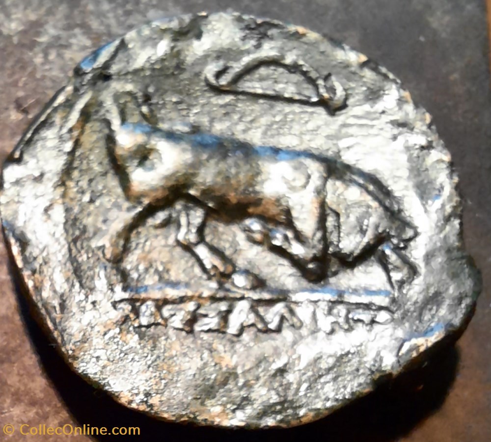 Hemiltron Grand Bronze Massalia - 225/210 d25.3 Poid 11.6g Feugere 14.1 monnaie antique av jc ap gauloise hemiltron grand bronze massalia 225 210 d25 3 poid 11 6g feugere 14 1