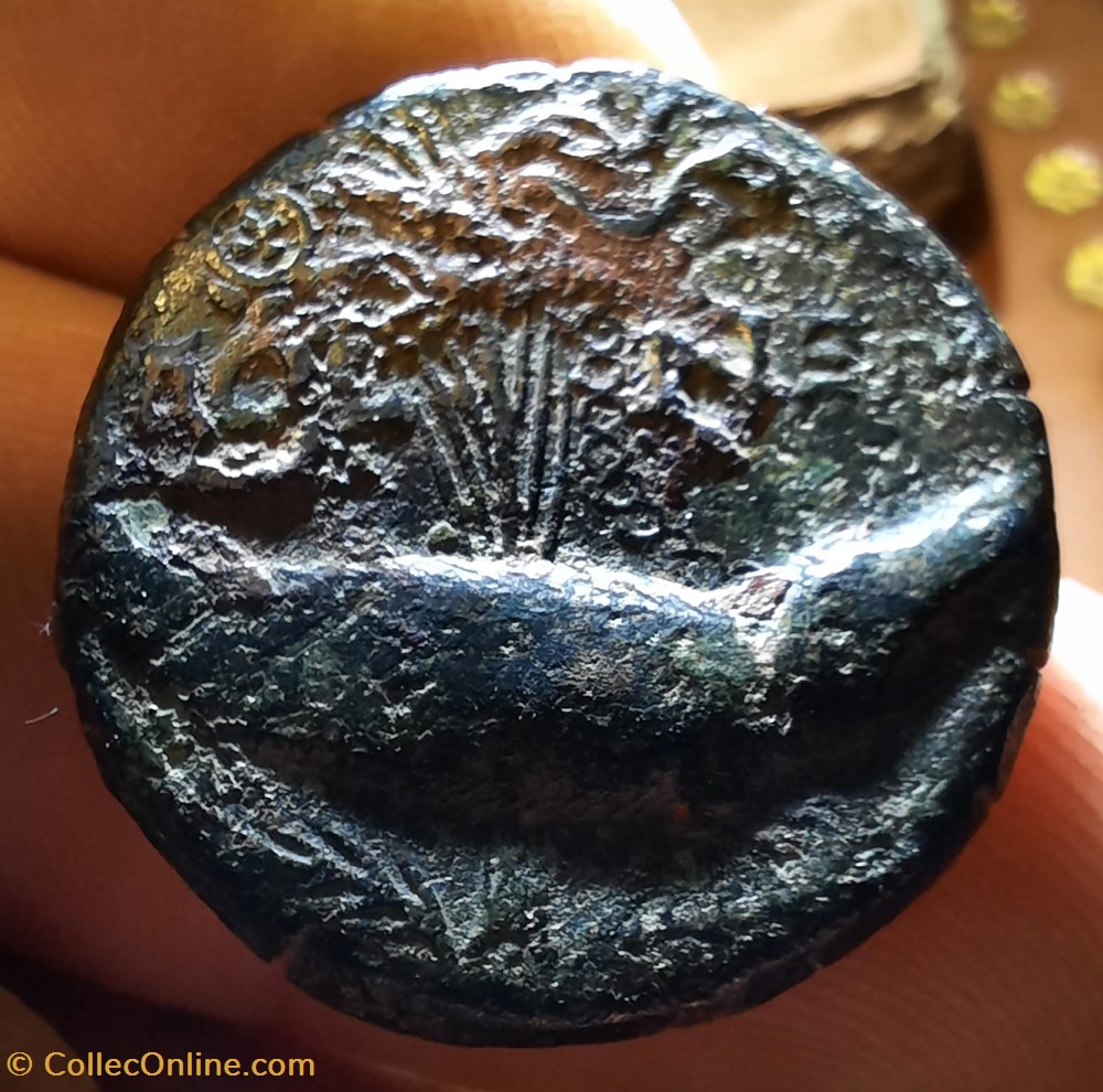 Nimes dupondius 4°type A/Tetes adossees Octave et Agrippa -10-14 D26.1 P12.58g monnaies antiquite jc ap romaines provinciales nimes dupondius 4 type a tetes adossees octave et agrippa 10 14 d26 1 p12 58g