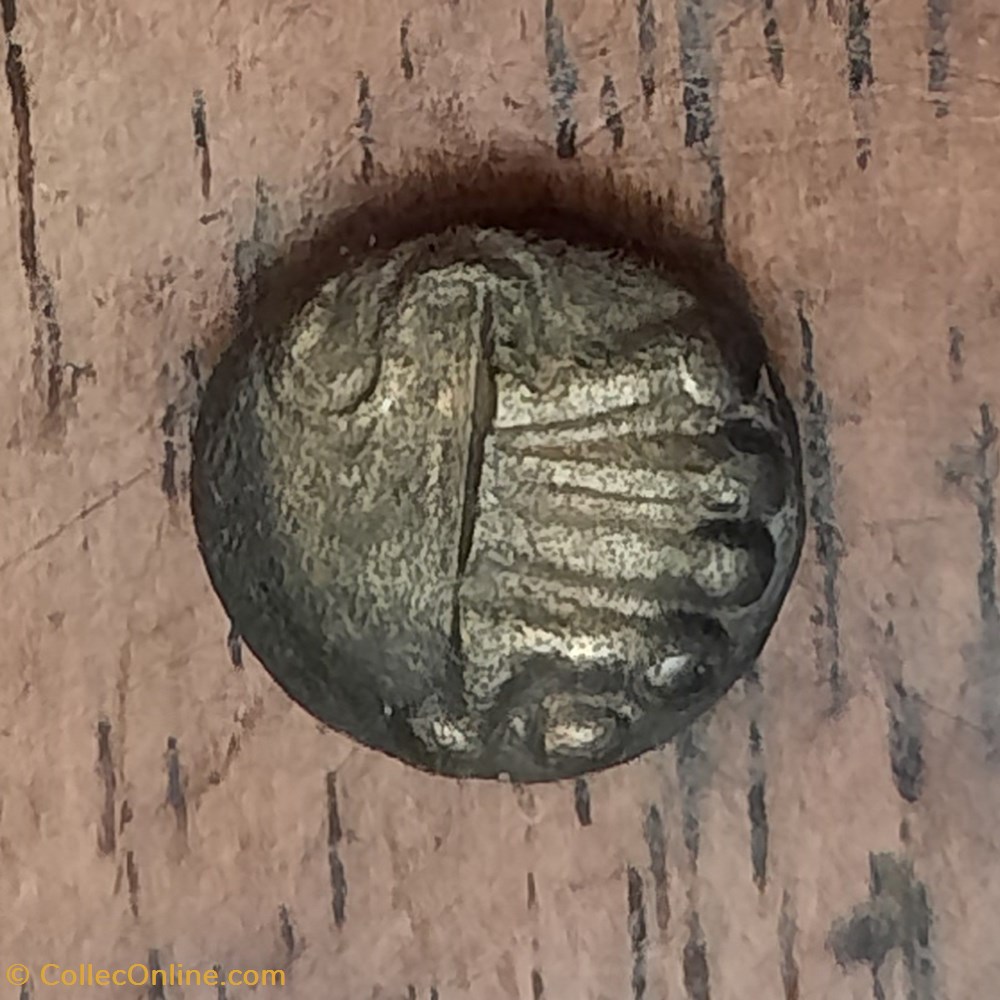 Remes A/4 Segments bouletes R/ Cheval a g ,globules -80-50 D9.2 P1.35g LT8030 DT/184 monnaies antiquite av jc ap celtes remes a 4 segments bouletes r cheval a g globules 80 50 d9 2 p1 35g lt8030 dt 184