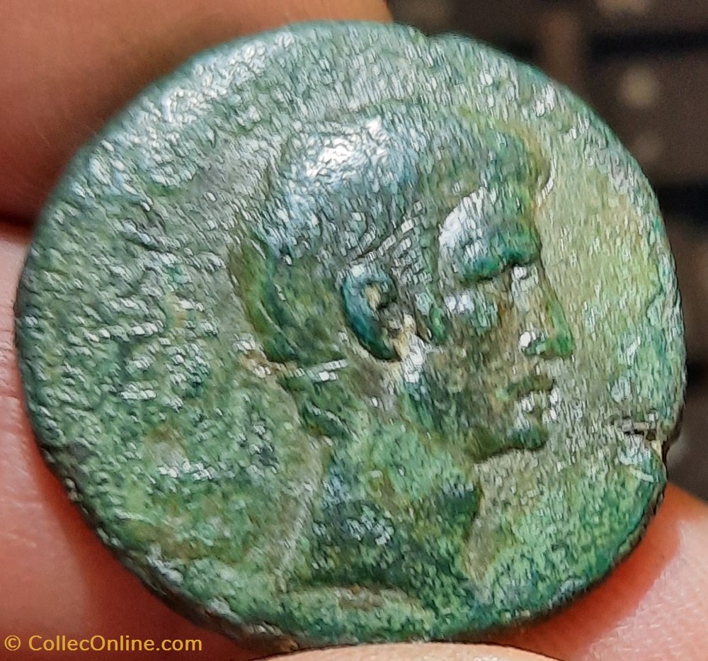 Auguste A/Tete nue a d R / Legende autour SC D27.6 P 10.39g C504 RIC389 RCV 1680 monnaie antiquite av jc ap romaine republicaine imperiale auguste a tete nue a d r legende autour sc d27 6 p 10 39g c504 ric389 rcv 1680