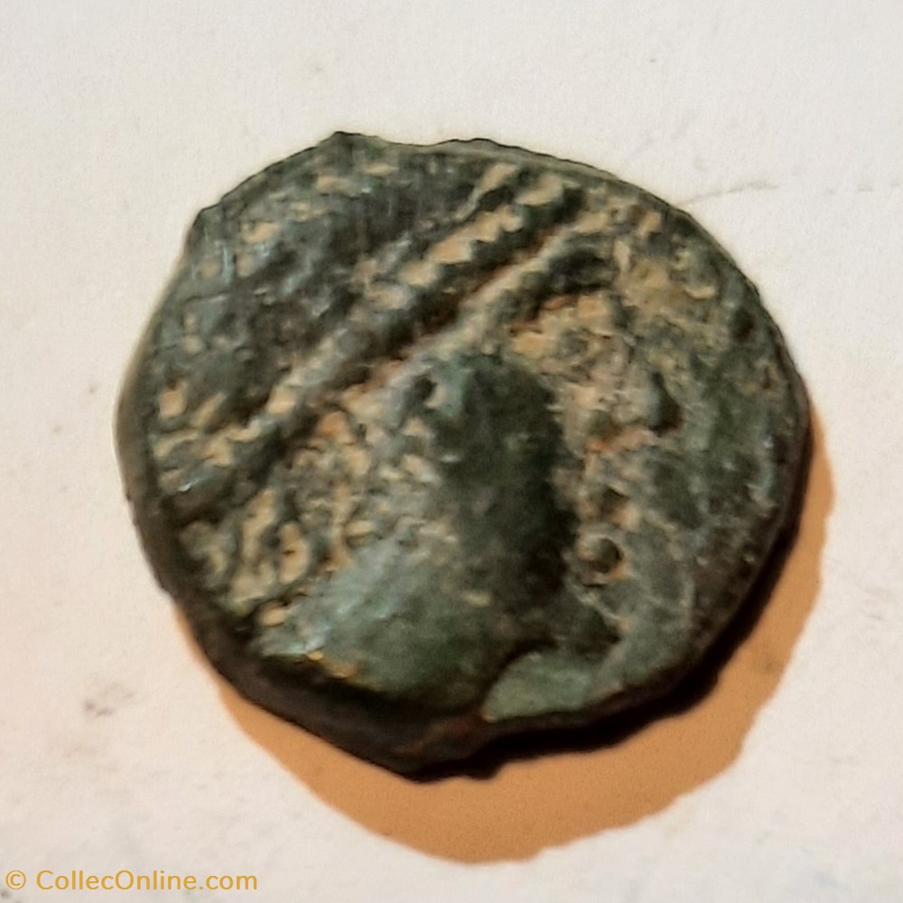 Basse Vallee du Rhone A/Tete a d R / Taureau a d -100-50 D13.3 P 1.97g Feugere PBI 60-5 monnaie antique av jc ap gauloise basse vallee du rhone a tete a d r taureau a d 100 50 d13 3 p 1 97g feugere pbi 60 5
