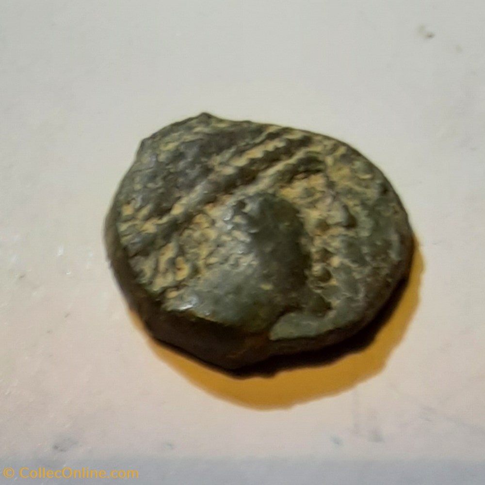 Basse Vallee du Rhone A/Tete a d R / Taureau a d -100-50 D13.3 P 1.97g Feugere PBI 60-5 3 monnaie antique av jc ap gauloise basse vallee du rhone a tete a d r taureau a d 100 50 d13 3 p 1 97g feugere pbi 60 5