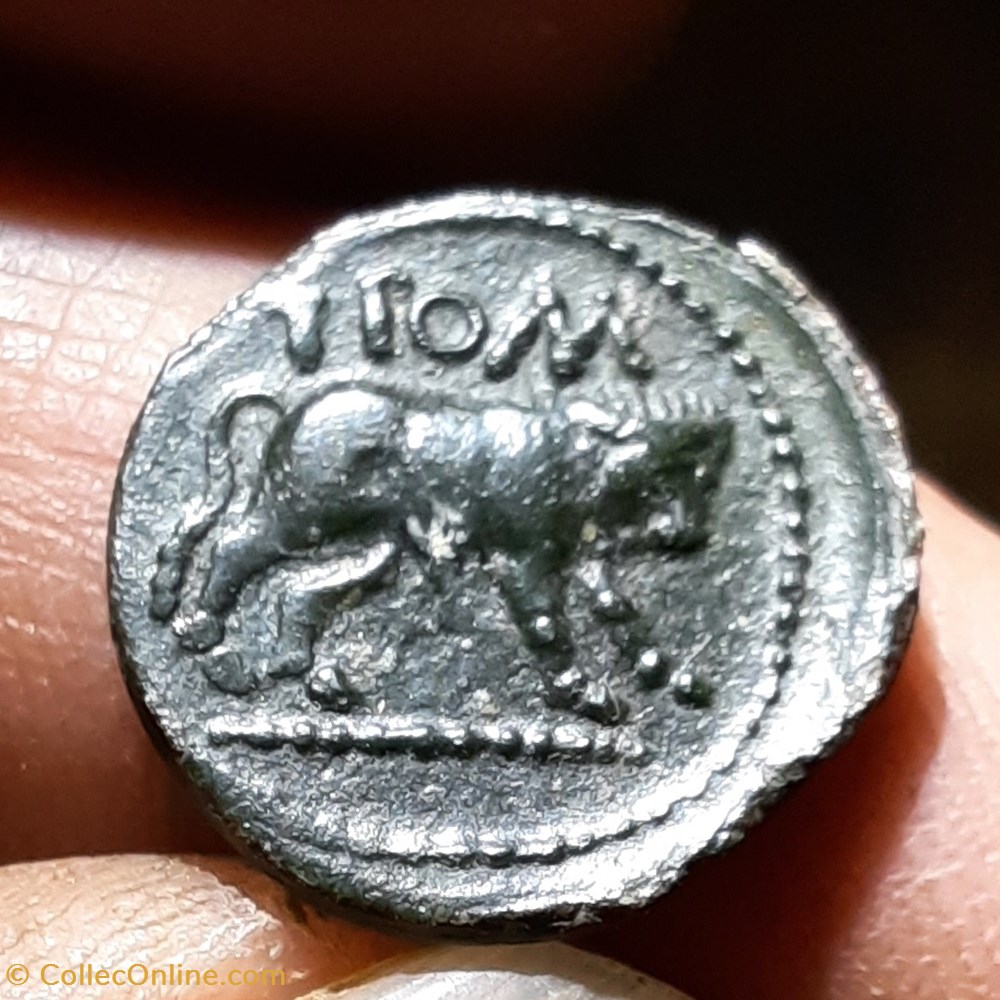 monnaies antiquite jc ap celtes cavares a tete nue a d esse r taureau passant a d d15 8 p1 79g lt4353 rpc 506