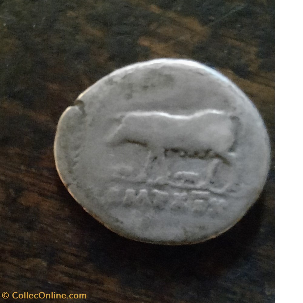 Vespasien A/Tete lauree a d R/Truie a g et 3 porcelets D18 P2.87g RCV 2292 C 213 RIC 109 monnaie antique av jc ap romaine republicaine imperiale vespasien a tete lauree a d r truie a g et 3 porcelets d18 p2 87g rcv 2292 c 213 ric 109