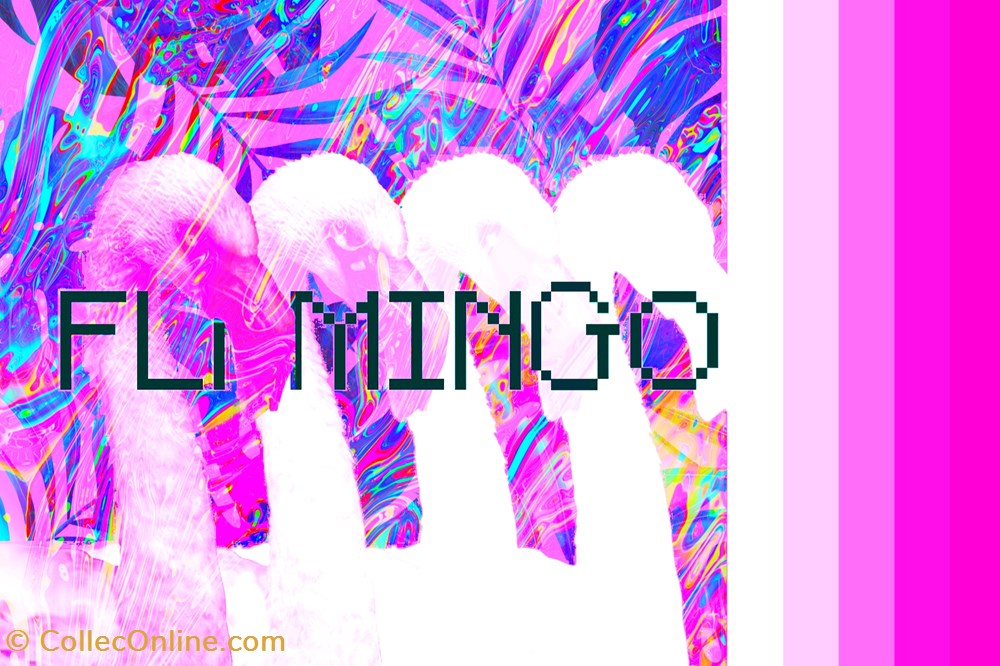 nft flamingo blockchain art