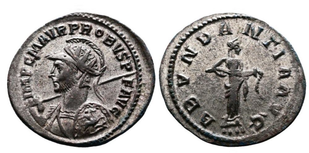 Probus Lugdunum RIC 15 coins ancient to romans imperial and republican probus lugdunum ric 15