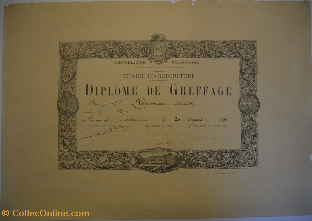 documents anciens diplomes bulletins scolaires diplome de greffage decerne par la chaire agriculture du loir et cher a alcide chicoineau