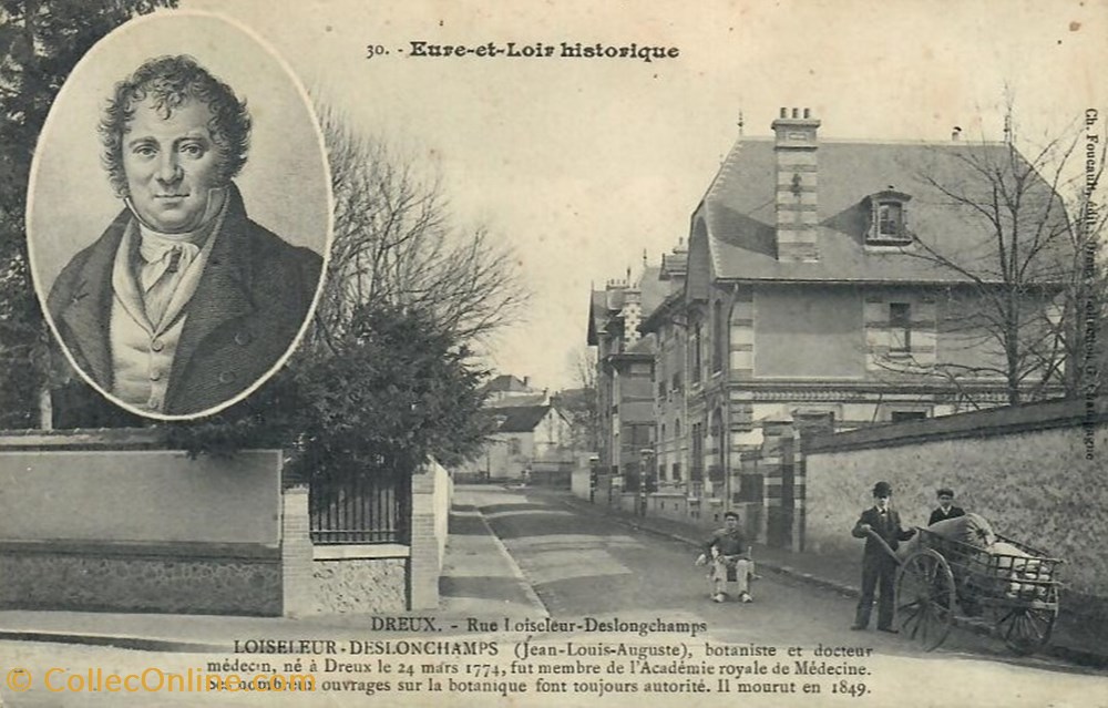 cartes postales europe france la rue loiseleur deslongchamps