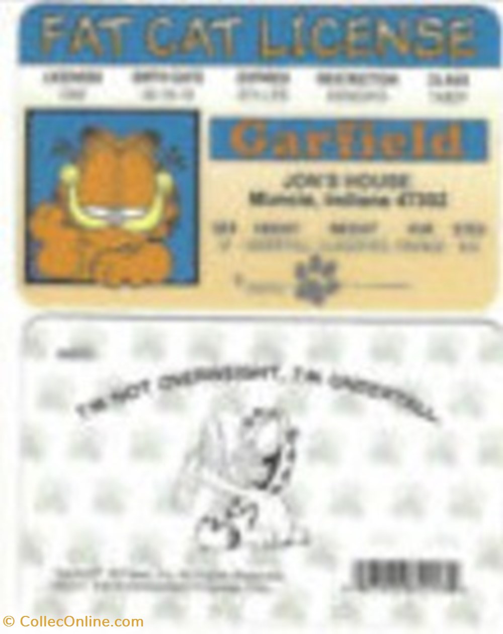 Garfield Novelty License miscellaneous garfield novelty license