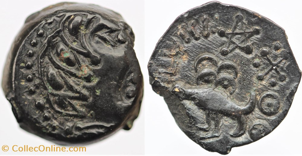Senons - Bronze YLLICCI monnaies antiques av jc a ap celtes senons bronze yllicci
