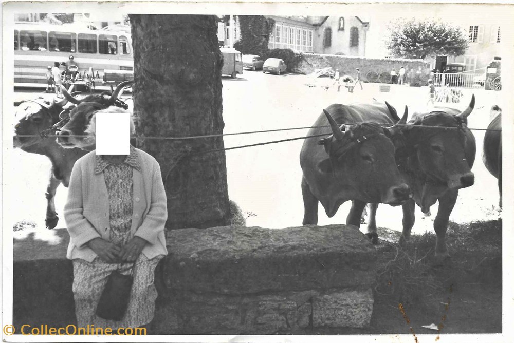photographies pres commun 1983