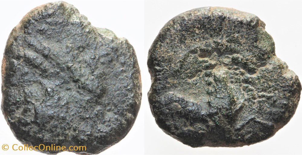 Arvernes - Statère cheval/sanglier monnaies antiques av jc ap celtes arvernes statere cheval sanglier